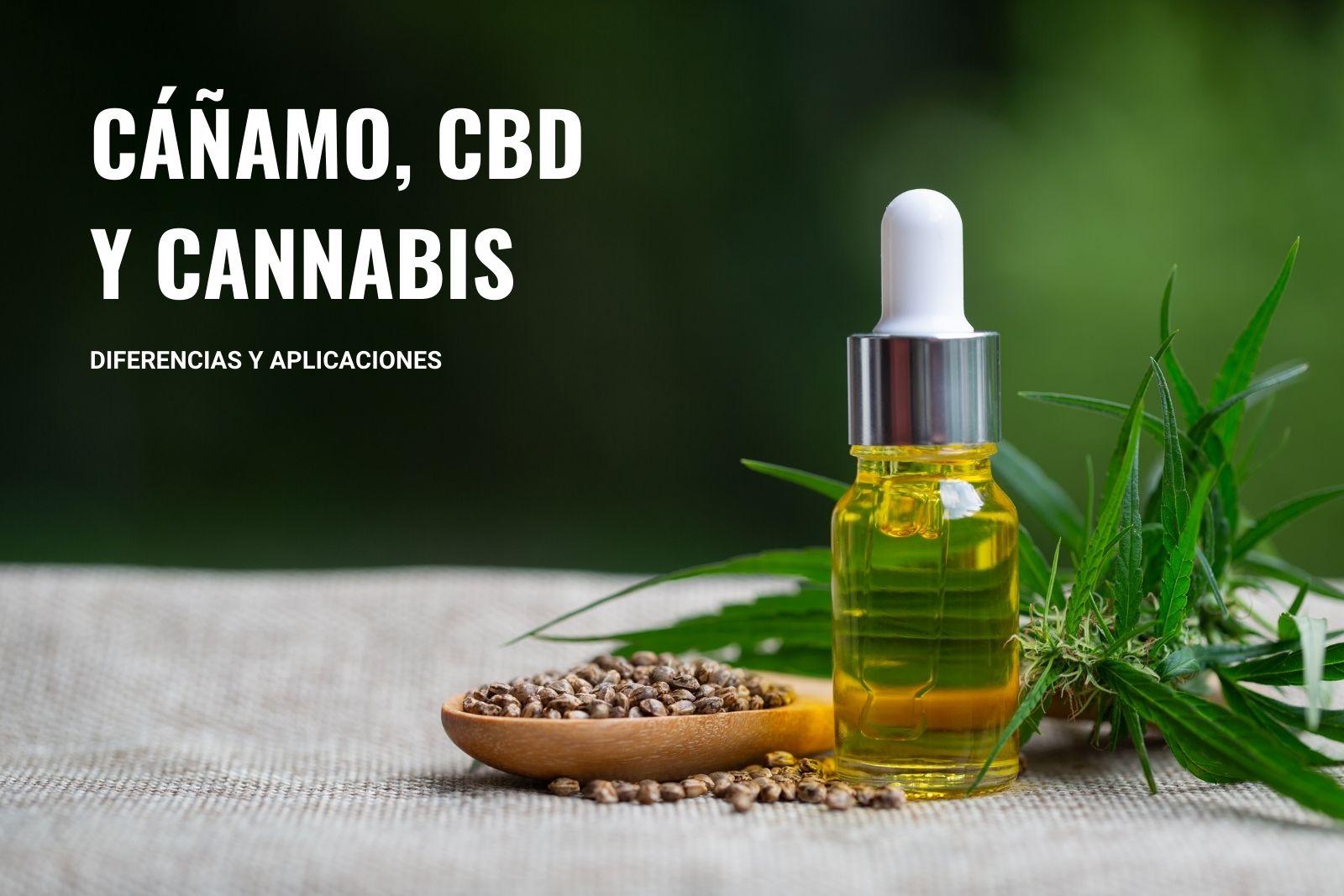 canamo-cbd-y-cannabis-diferencias-y-aplicaciones